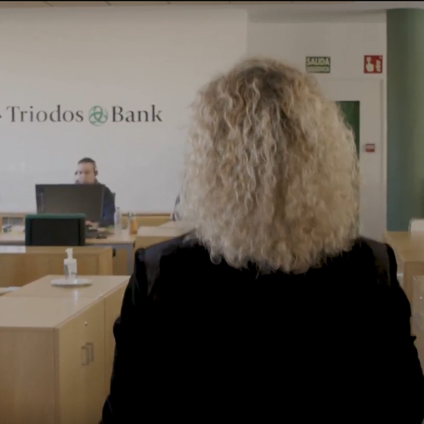 Entender la nueva estrategia de capital de Triodos Bank